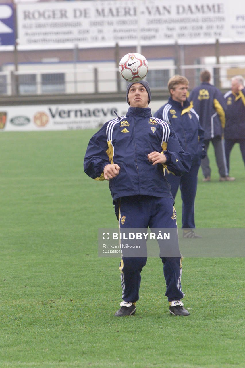 Zlatan Ibrahimovic, Sverige