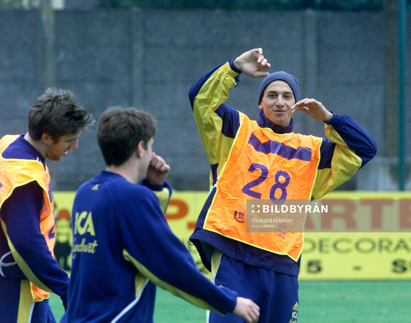 Zlatan Ibrahimovic, Sverige