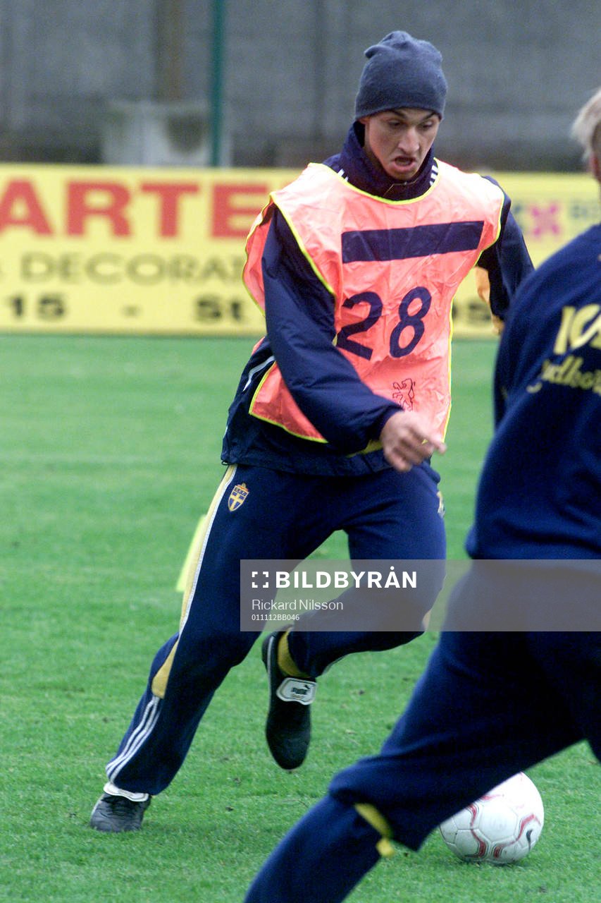 Zlatan Ibrahimovic, Sverige