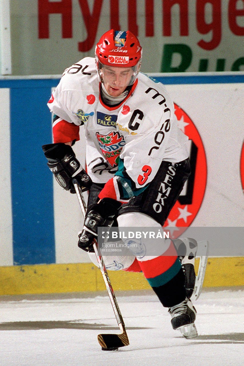 Ishockey, Elitserien, Pierre Hedin, Modo