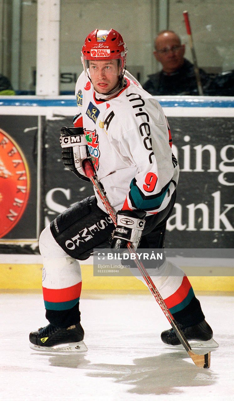 Ishockey, Elitserien, Magnus Wernblom, Modo