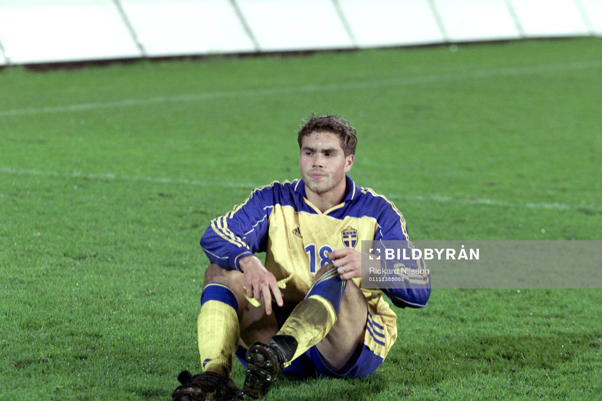 Johan Elmander, Sverige
