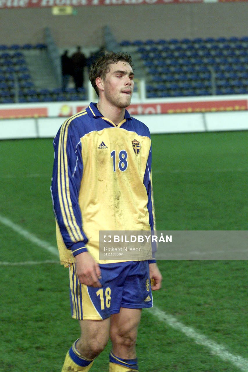 Johan Elmander, Sverige
