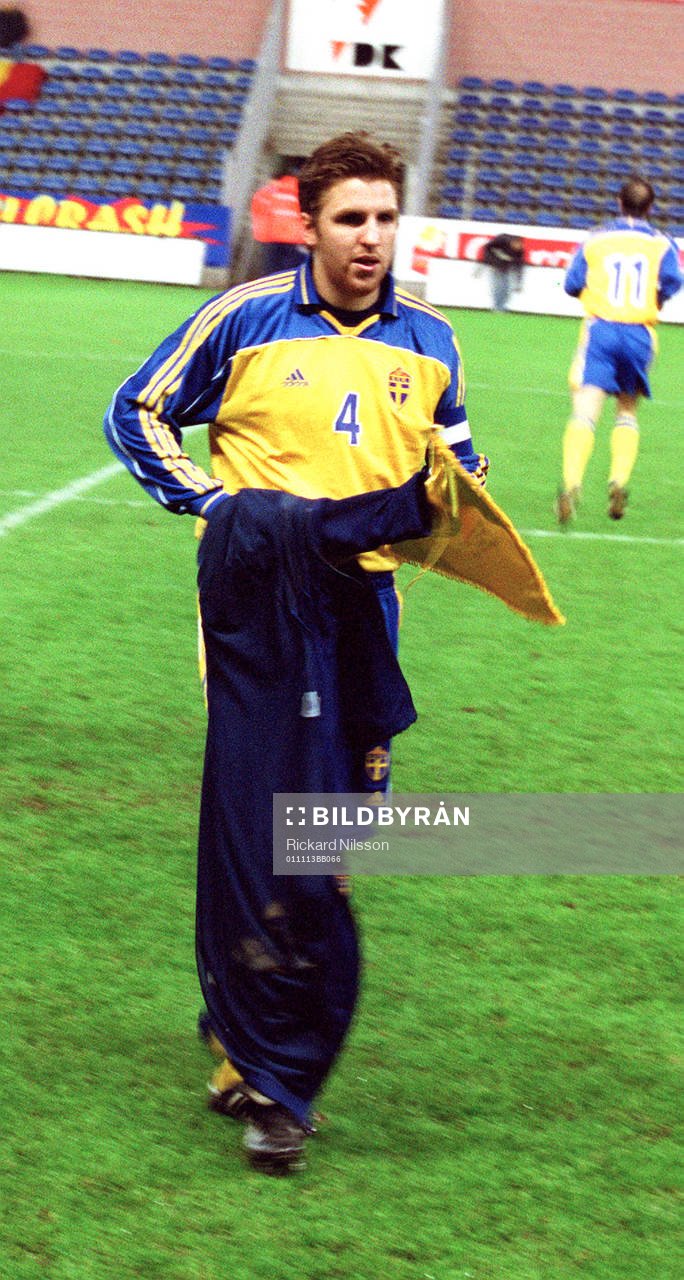 Nils-Eric Johansson, Sverige