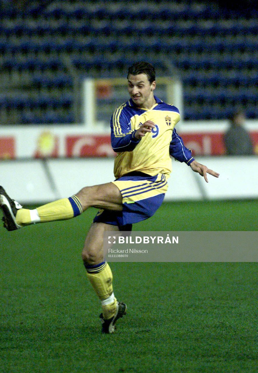 Zlatan Ibrahimovic, Sverige