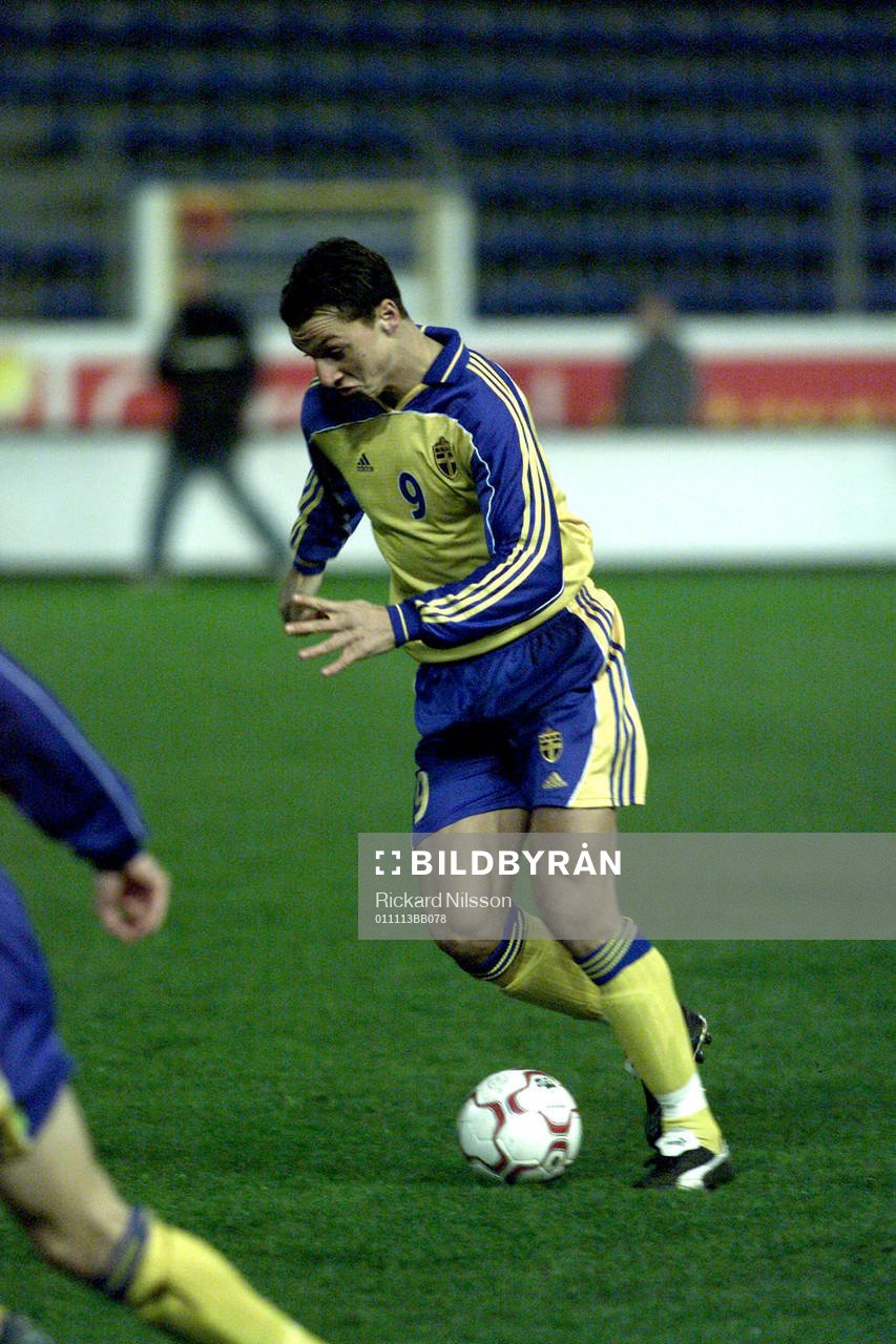 Zlatan Ibrahimovic, Sverige