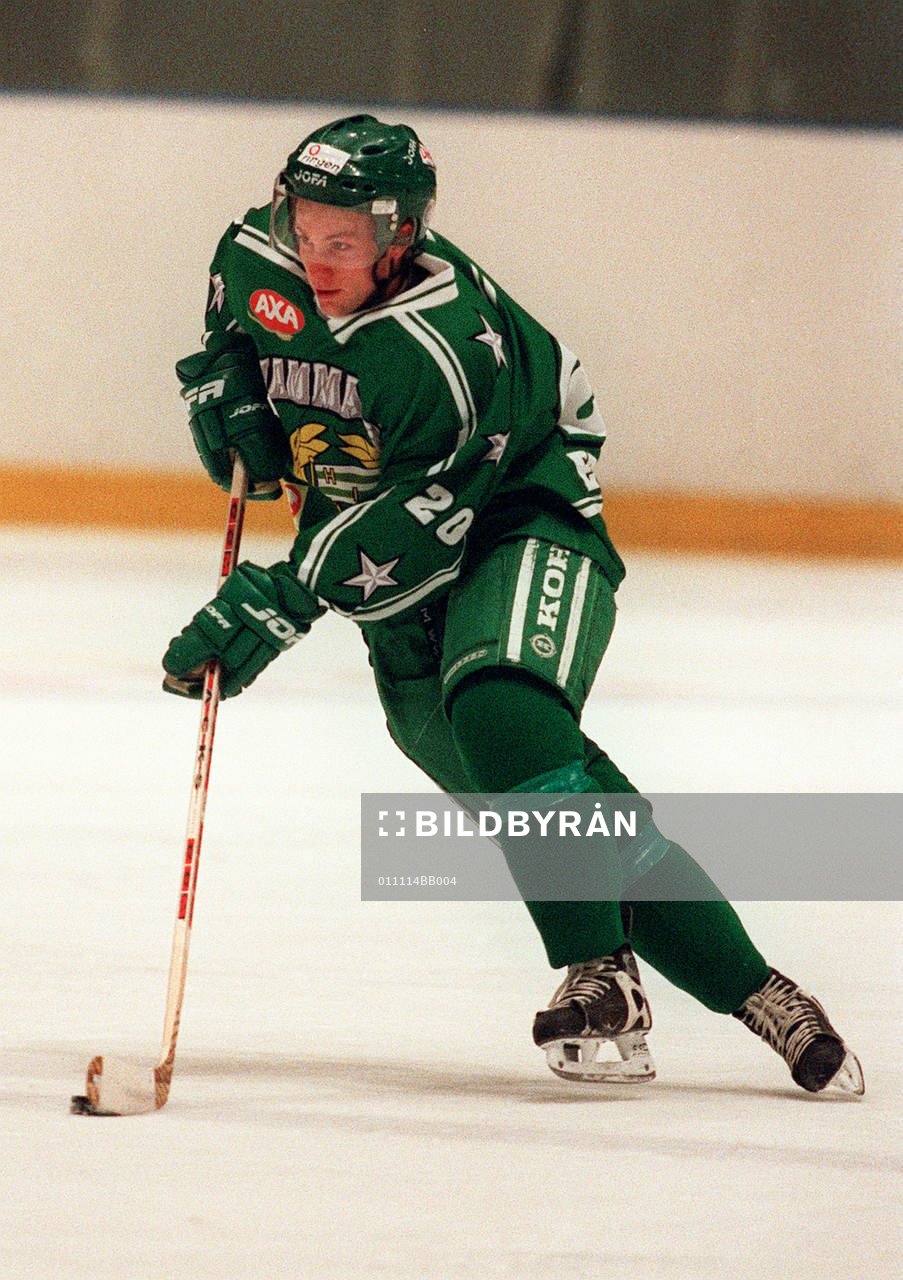 Ishockey,  Tim Eriksson, Hammarby