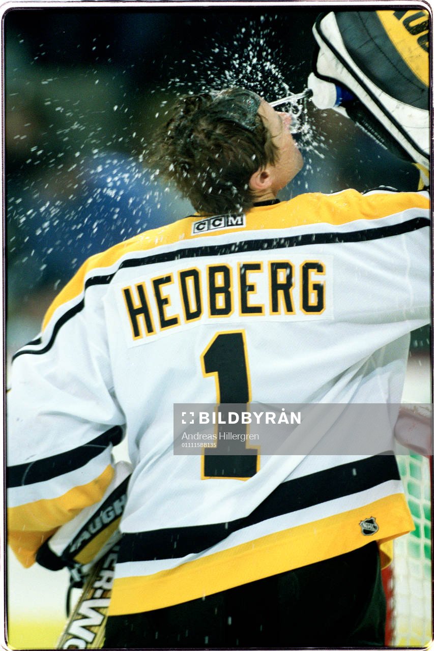 Johan Hedberg, Pittsburgh,  NHL