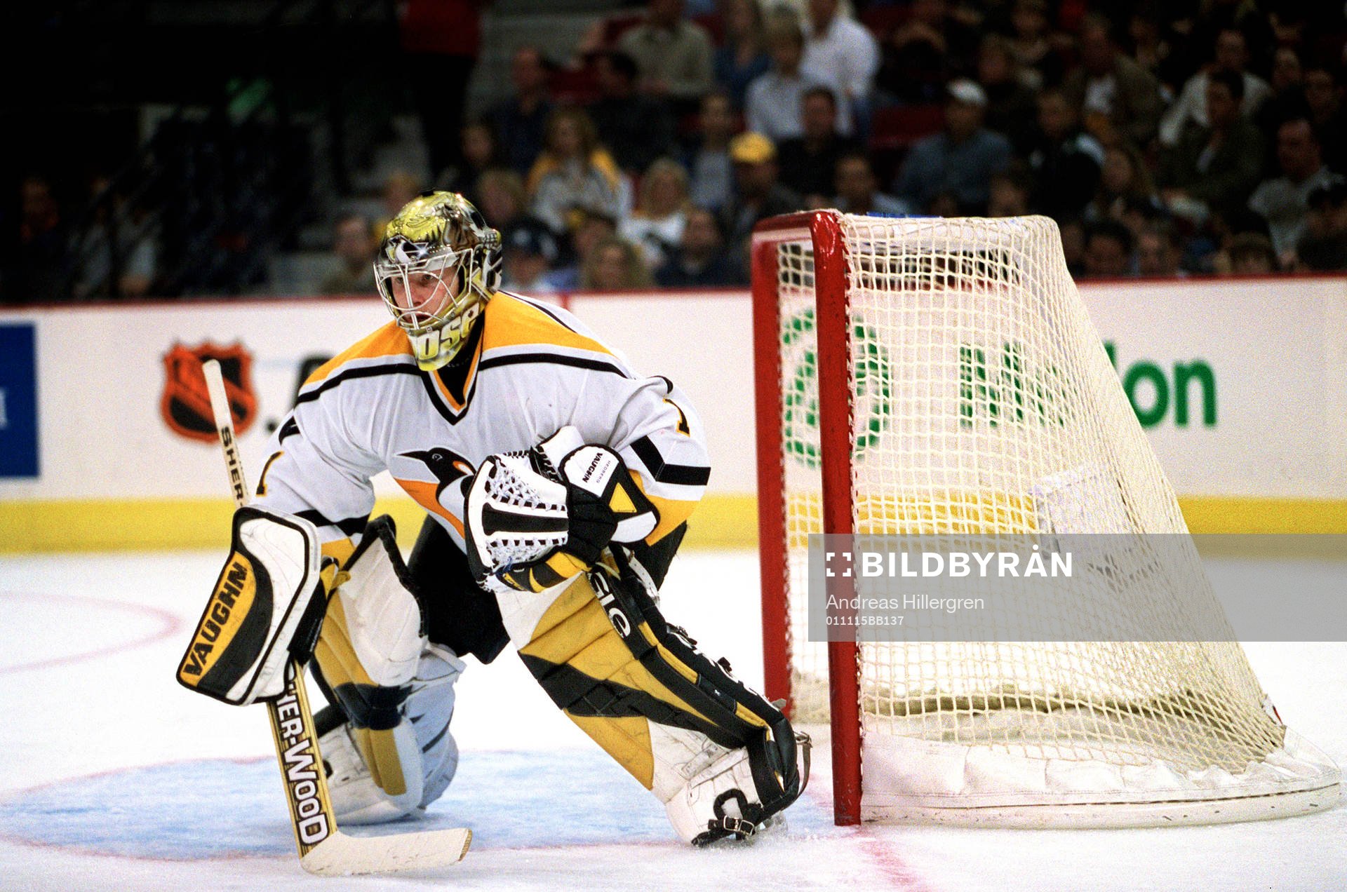 Johan Hedberg, Pittsburgh,  NHL