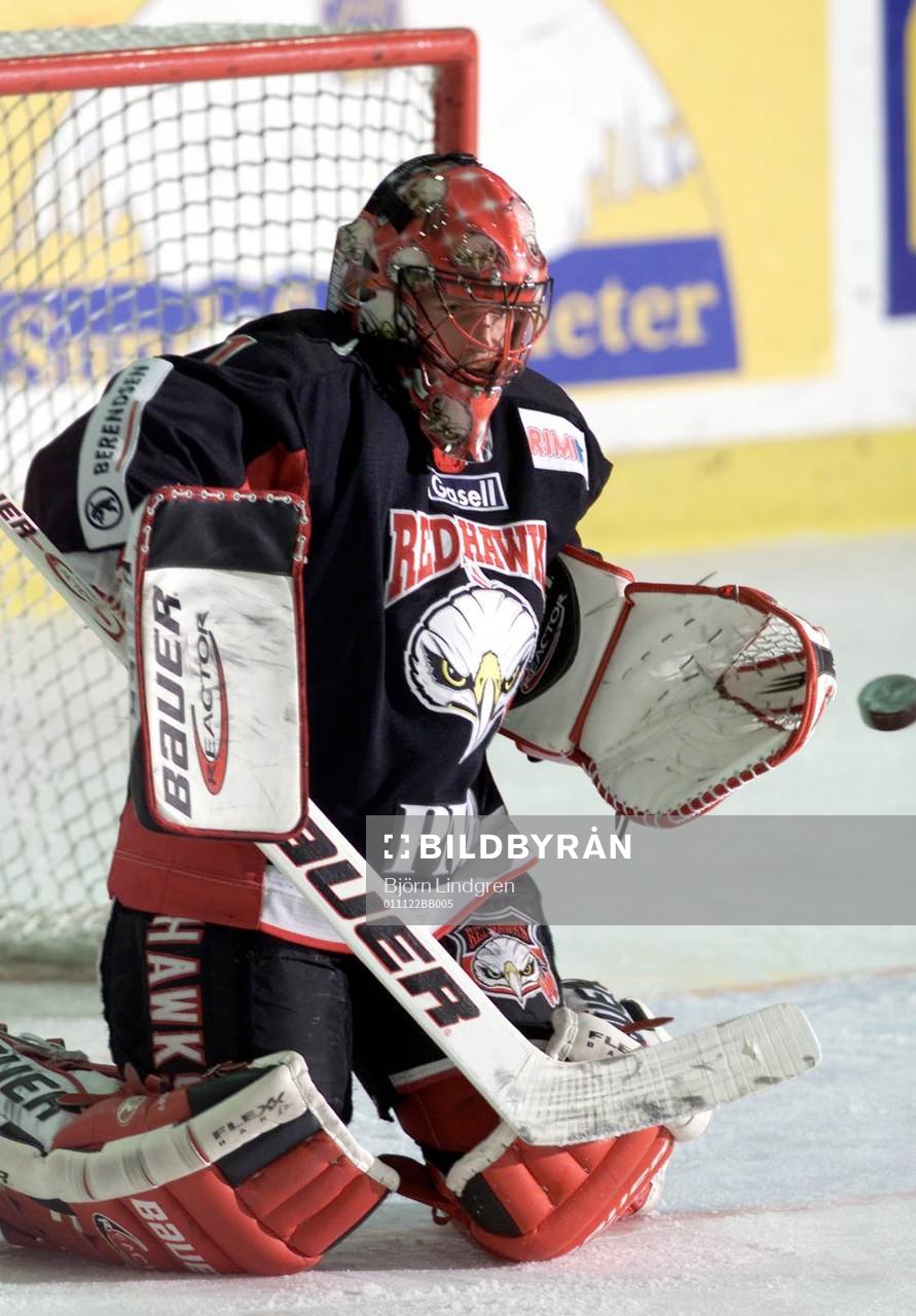 Ishockey, Elitserien, Andreas Hadelöv, Malmö