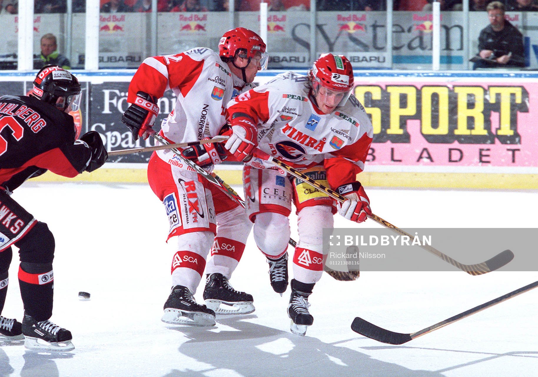 Tomi Källarsson och Ed Ward, Timrå