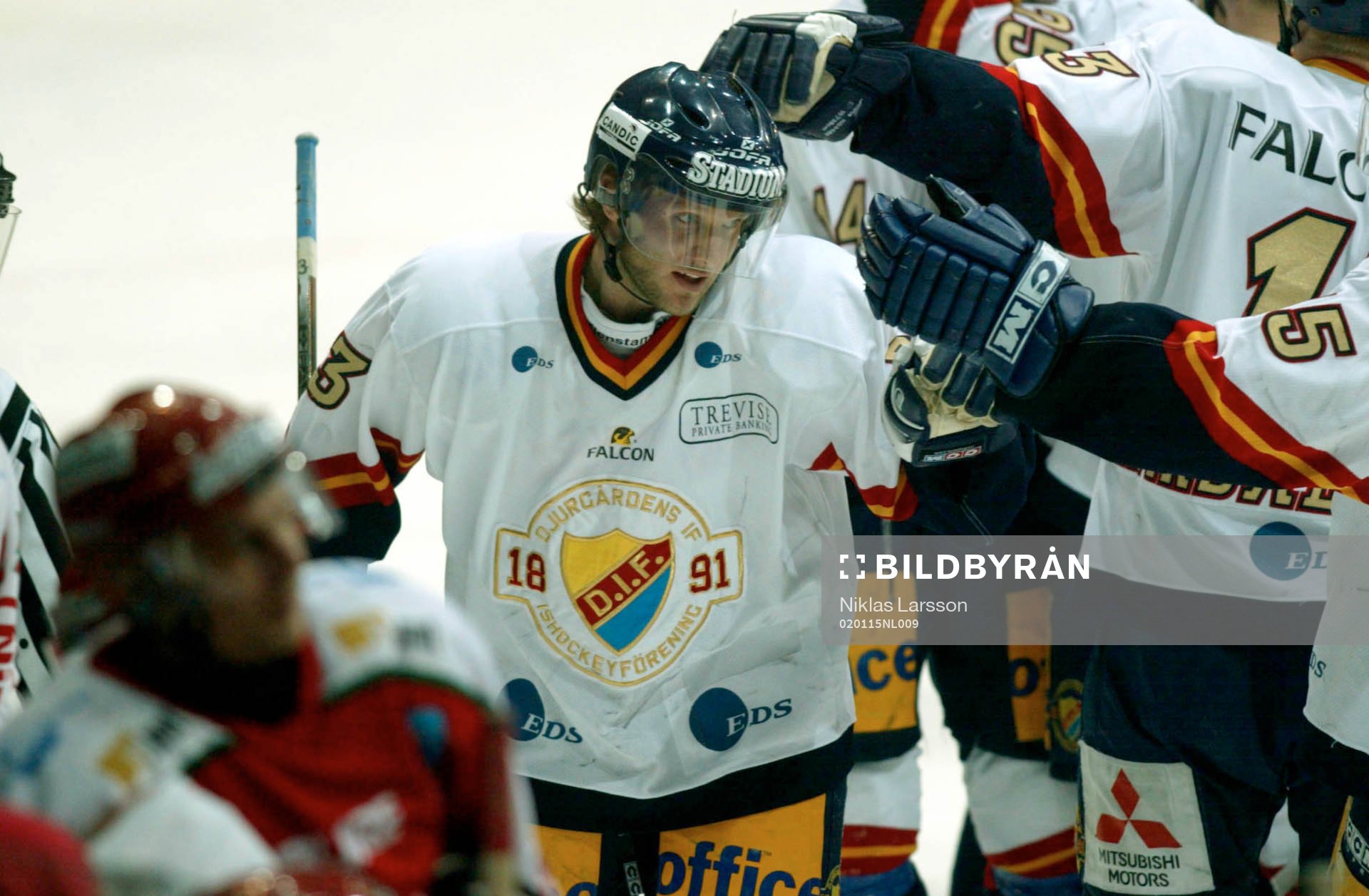 Nils Ekman, Djurgården