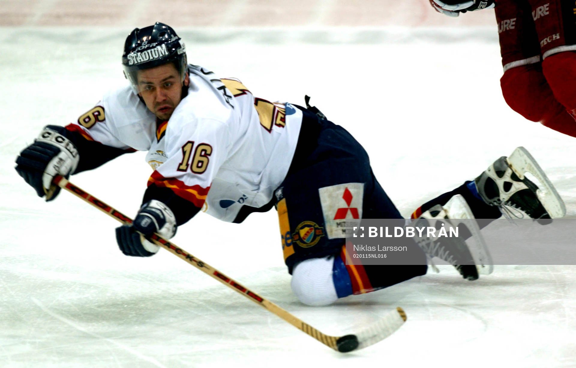 Nichlas Falk, DIF
