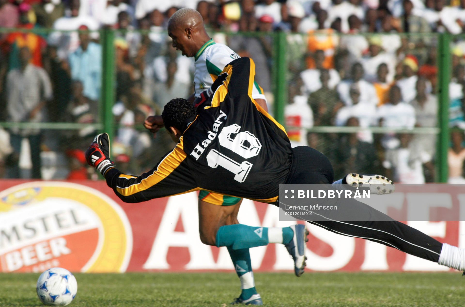 Diouf helt fri med El Hadary Hazem, Egypten