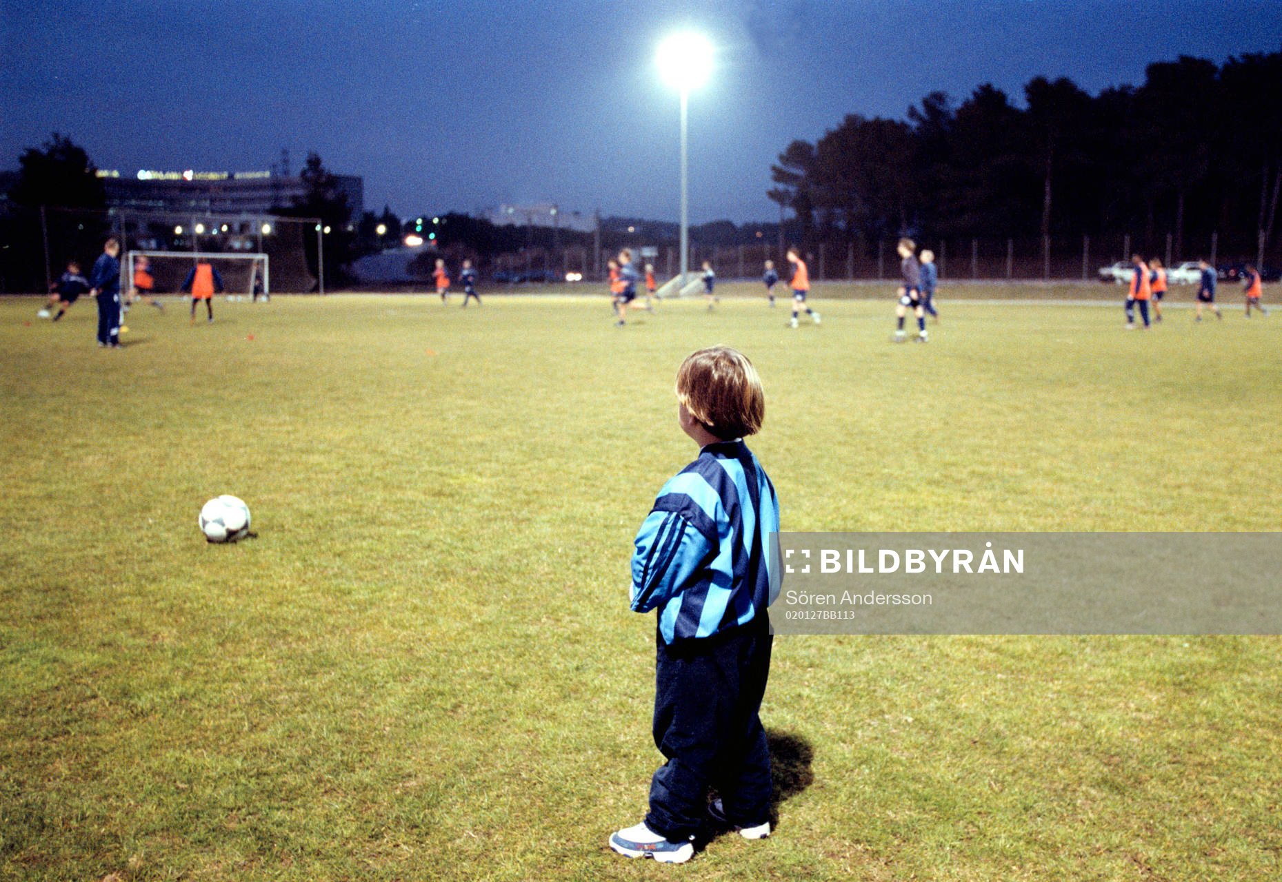 Supporter, Djurgården