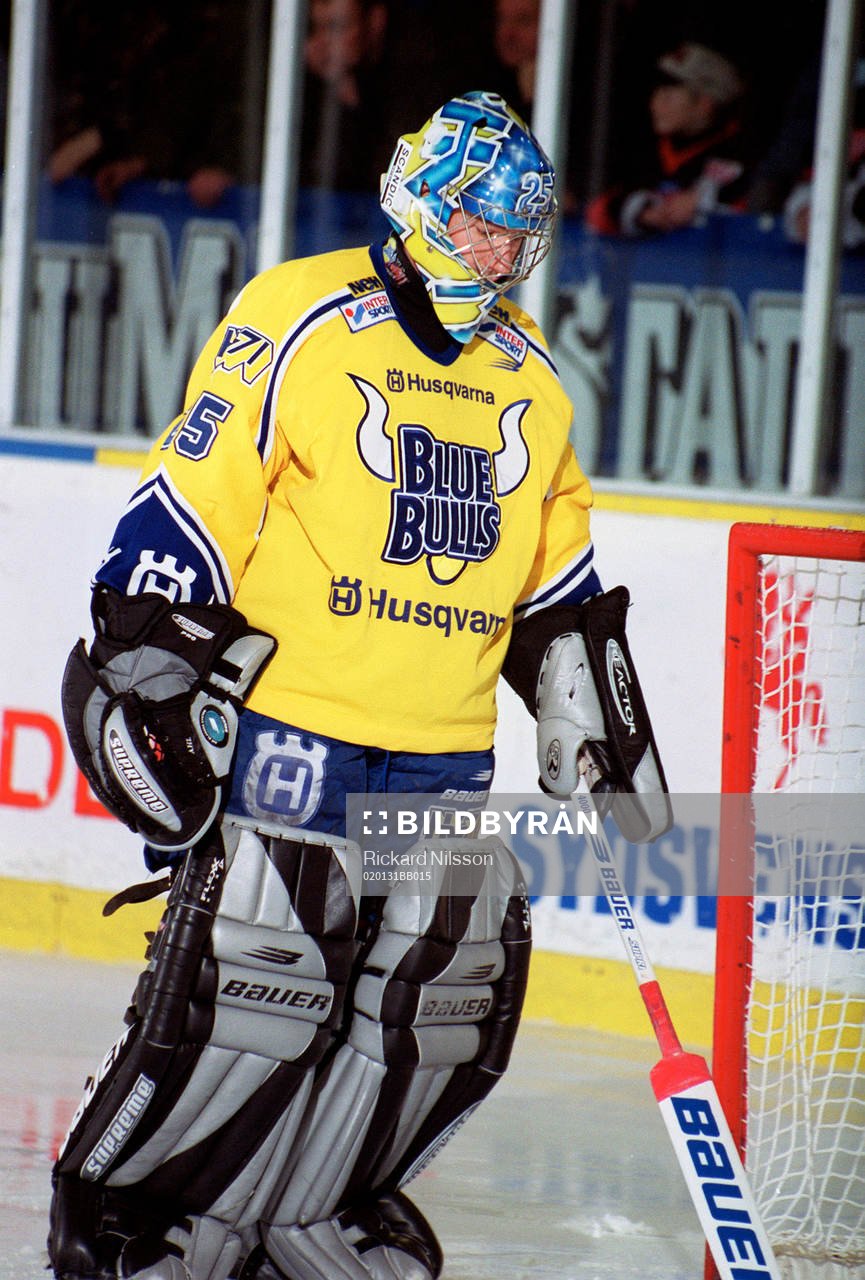 Boo Ahl, målvakt HV 71