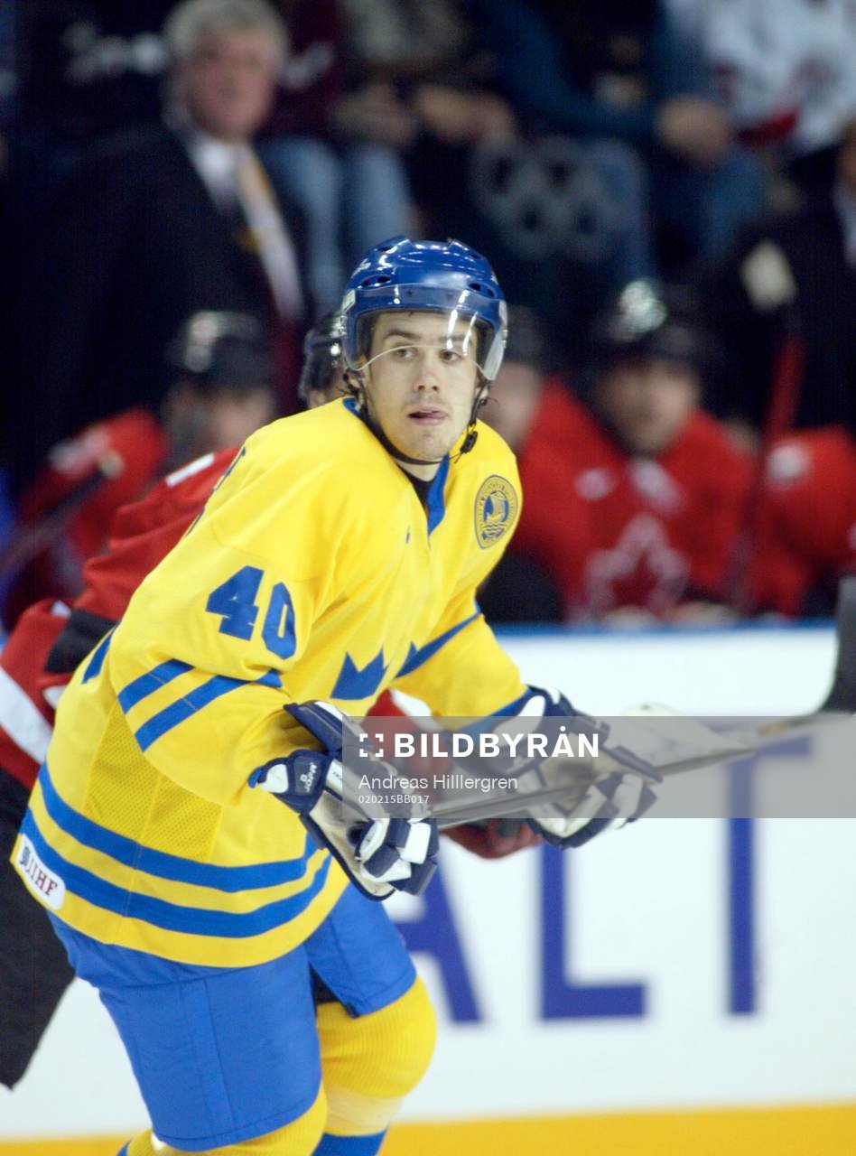Henrik Zetterberg, Sverige