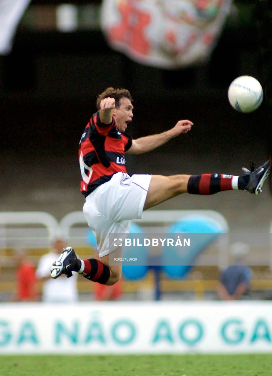 Dejan Petkovic, Flamengo