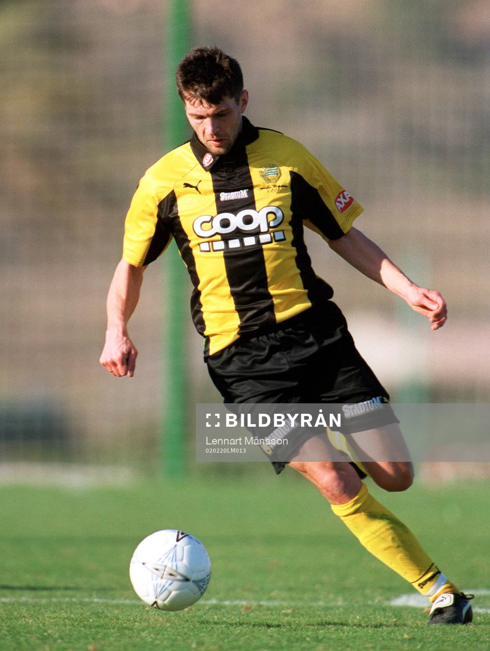 Trym Bergman,  Hammarby