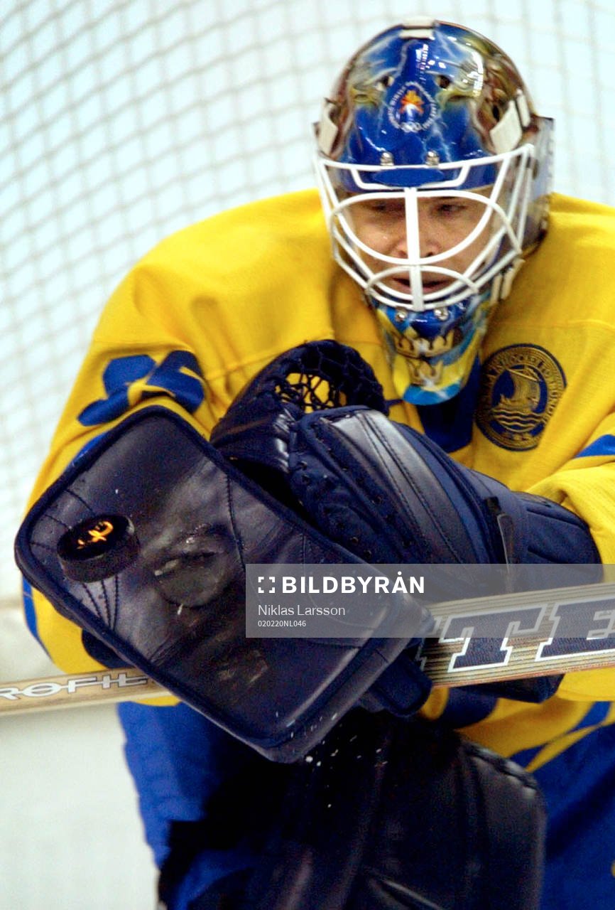 Tommy Salo, Sverige