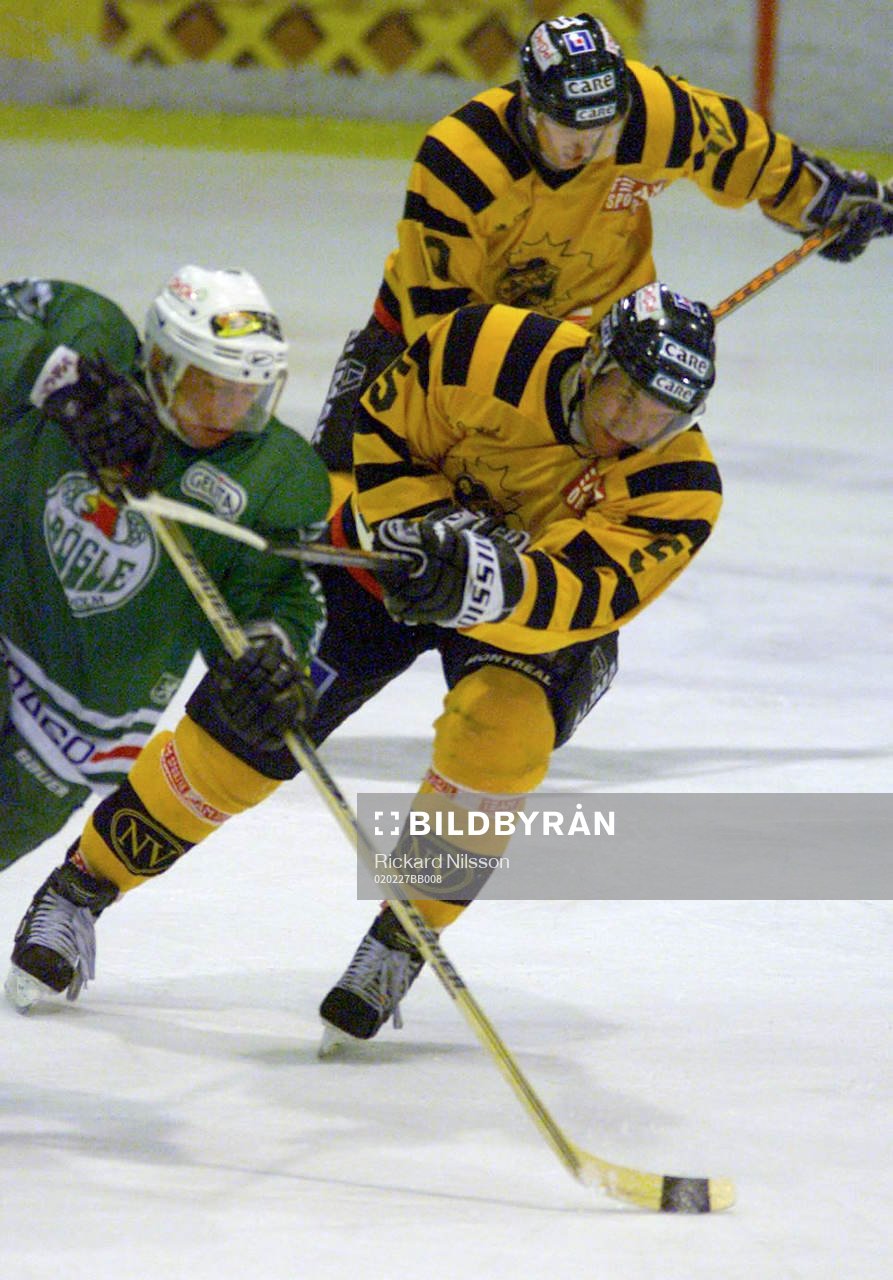Igor Matuchkin, Skellefteå