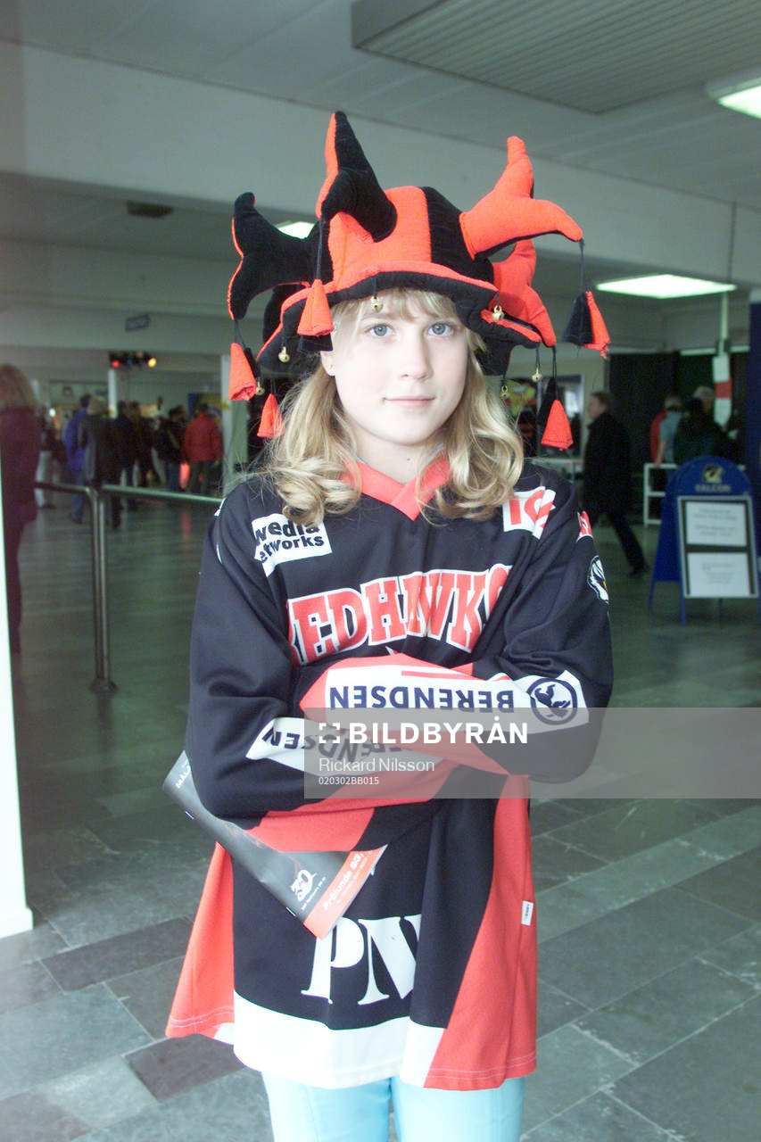 Supporter, Malmö
