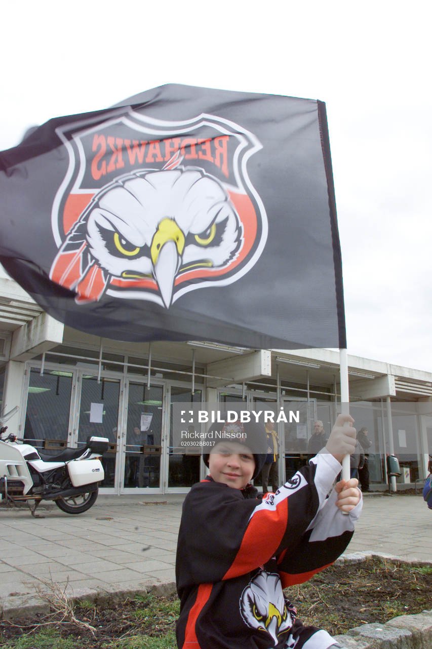 Supporter, Malmö, Flagga