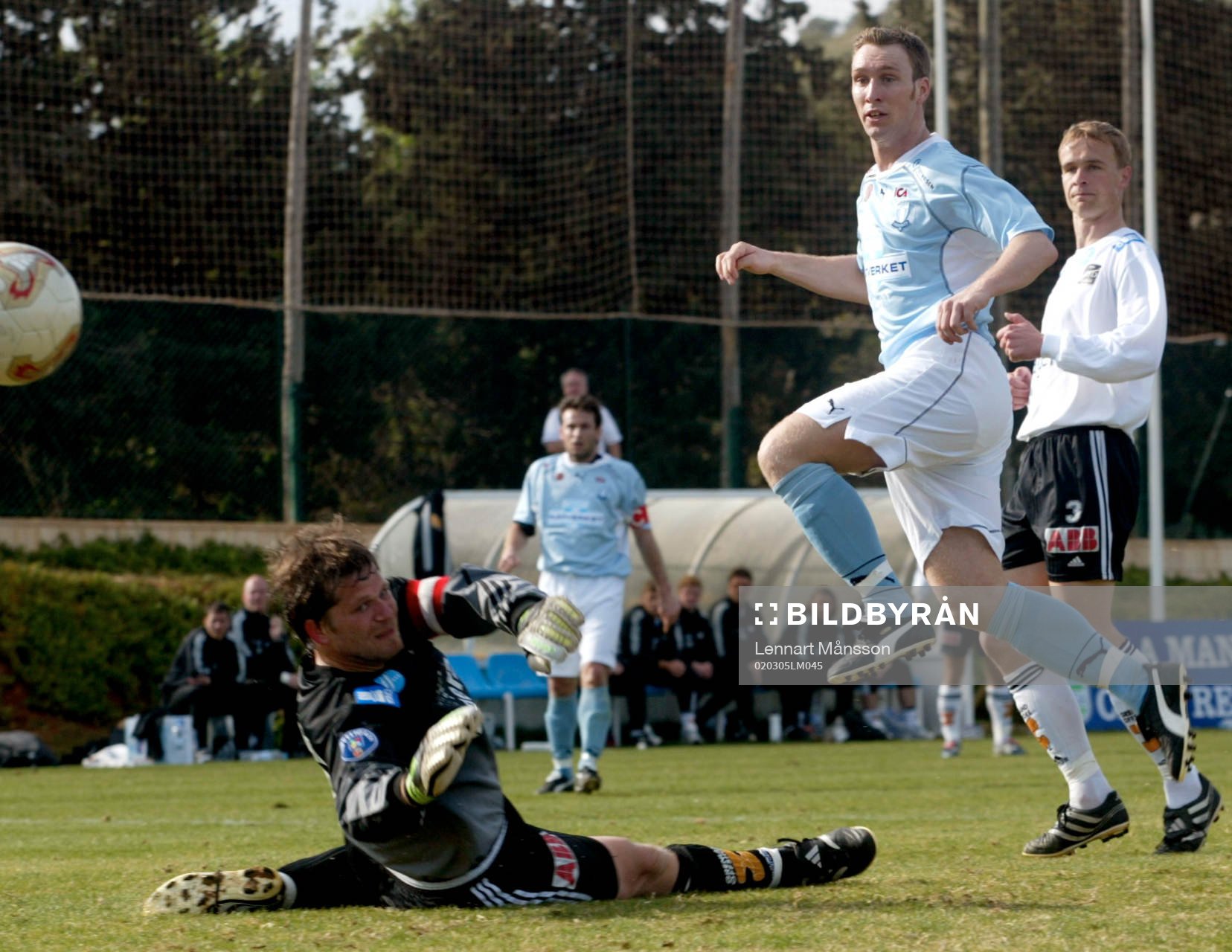 Niklas Skoog, Malmö FF