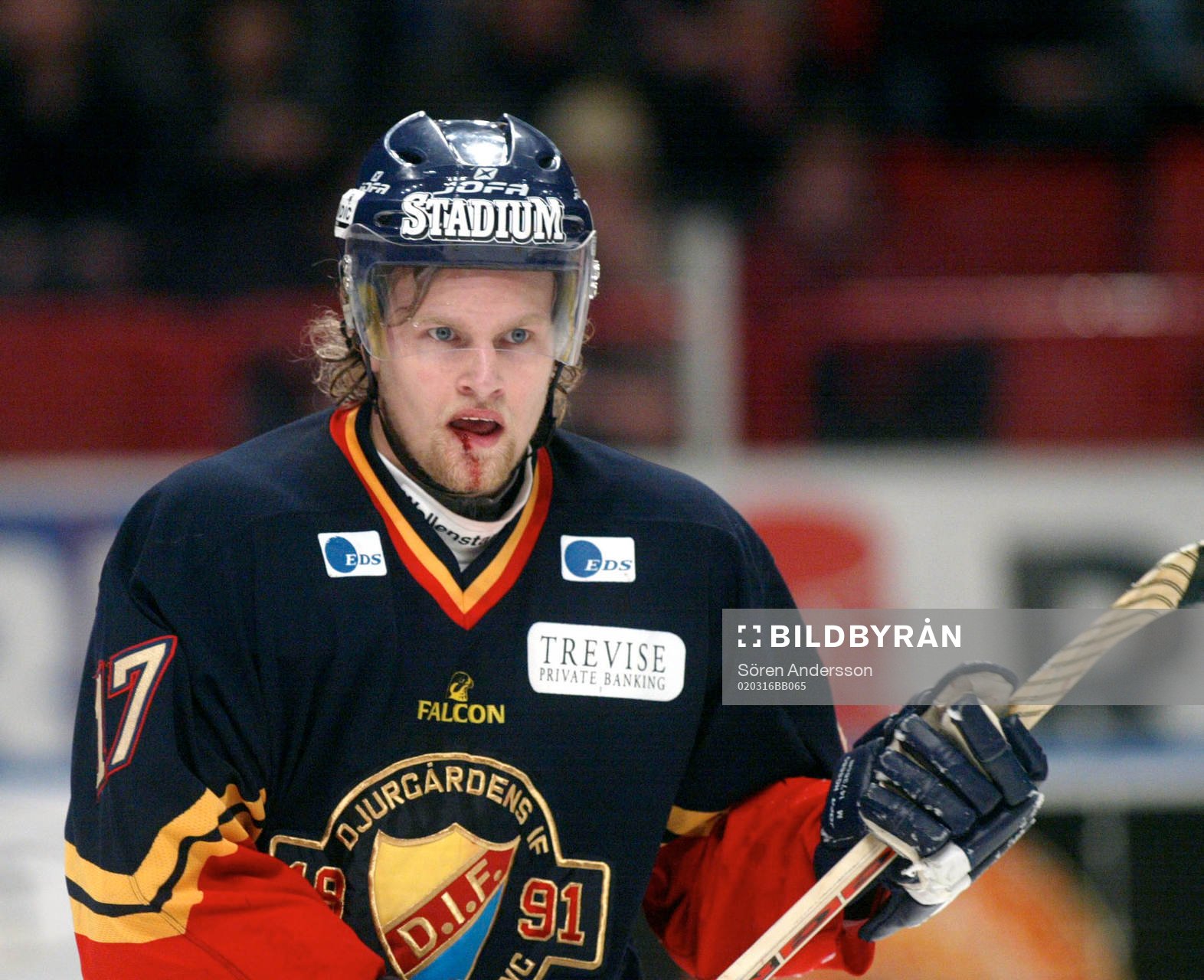 Ishockey, Elitserien, Mathias Tjärnqvist, Djurgården