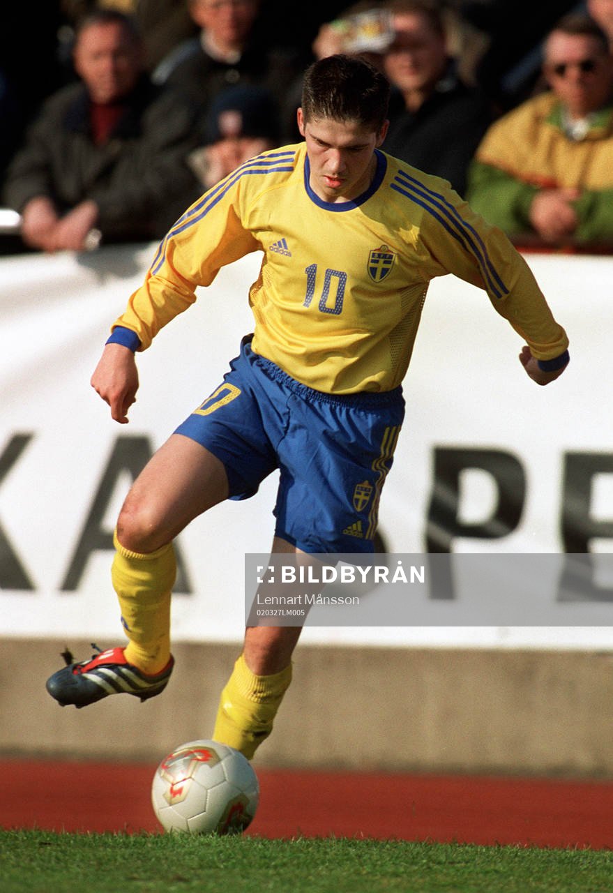 Bojan Djordjic, Sverige