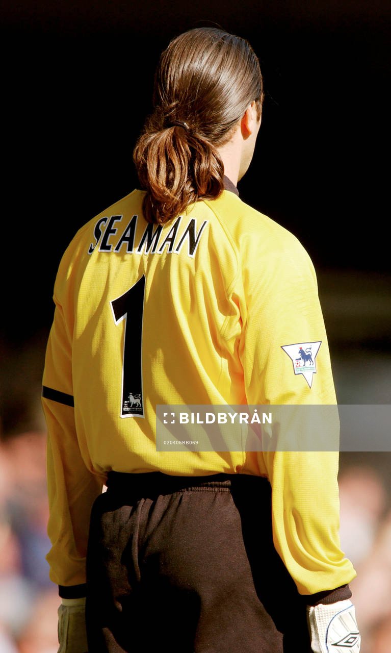 David Seaman, Arsenal