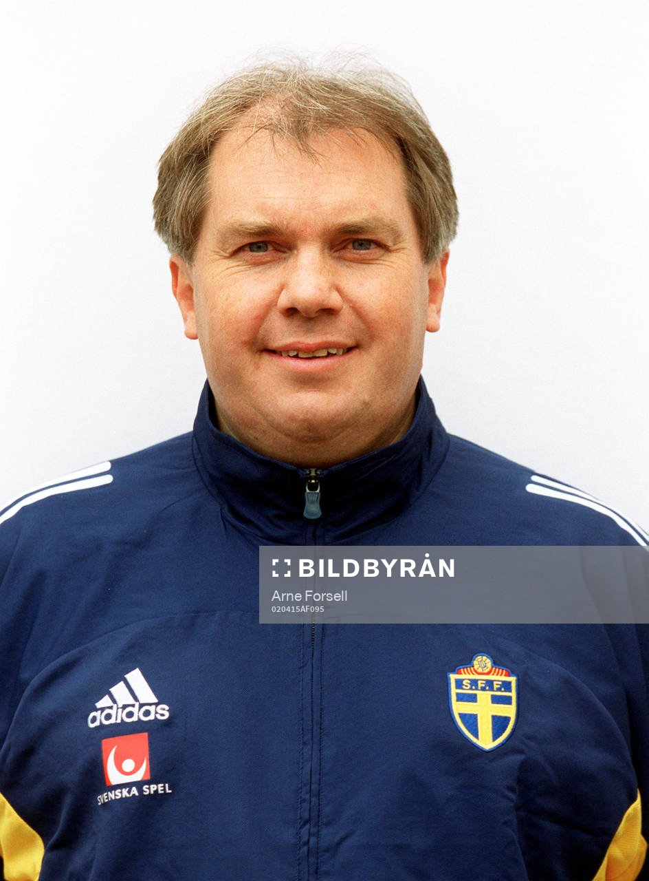 Lars Pihl, analytiker