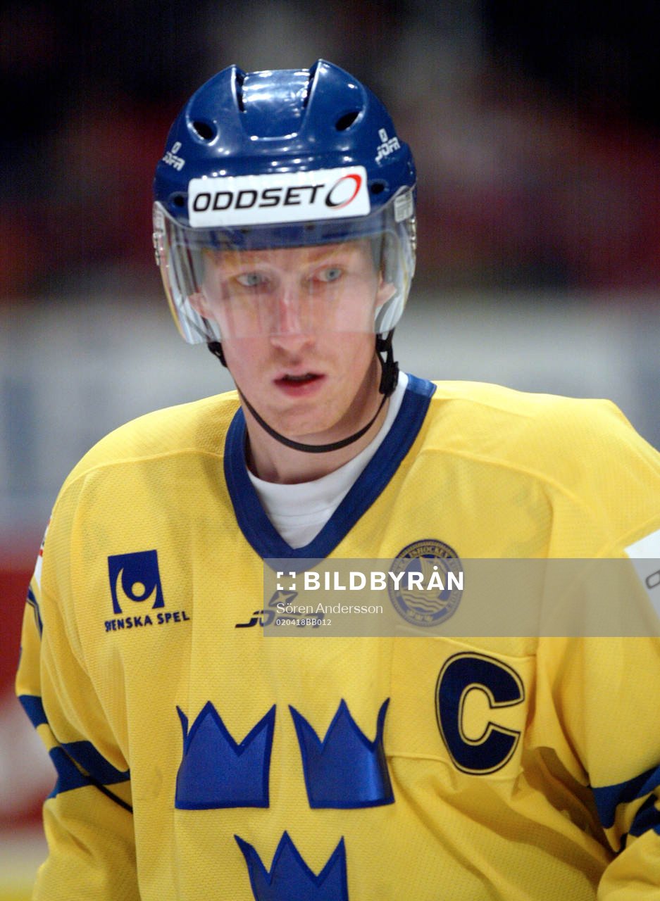 Jörgen Jönsson, Sverige