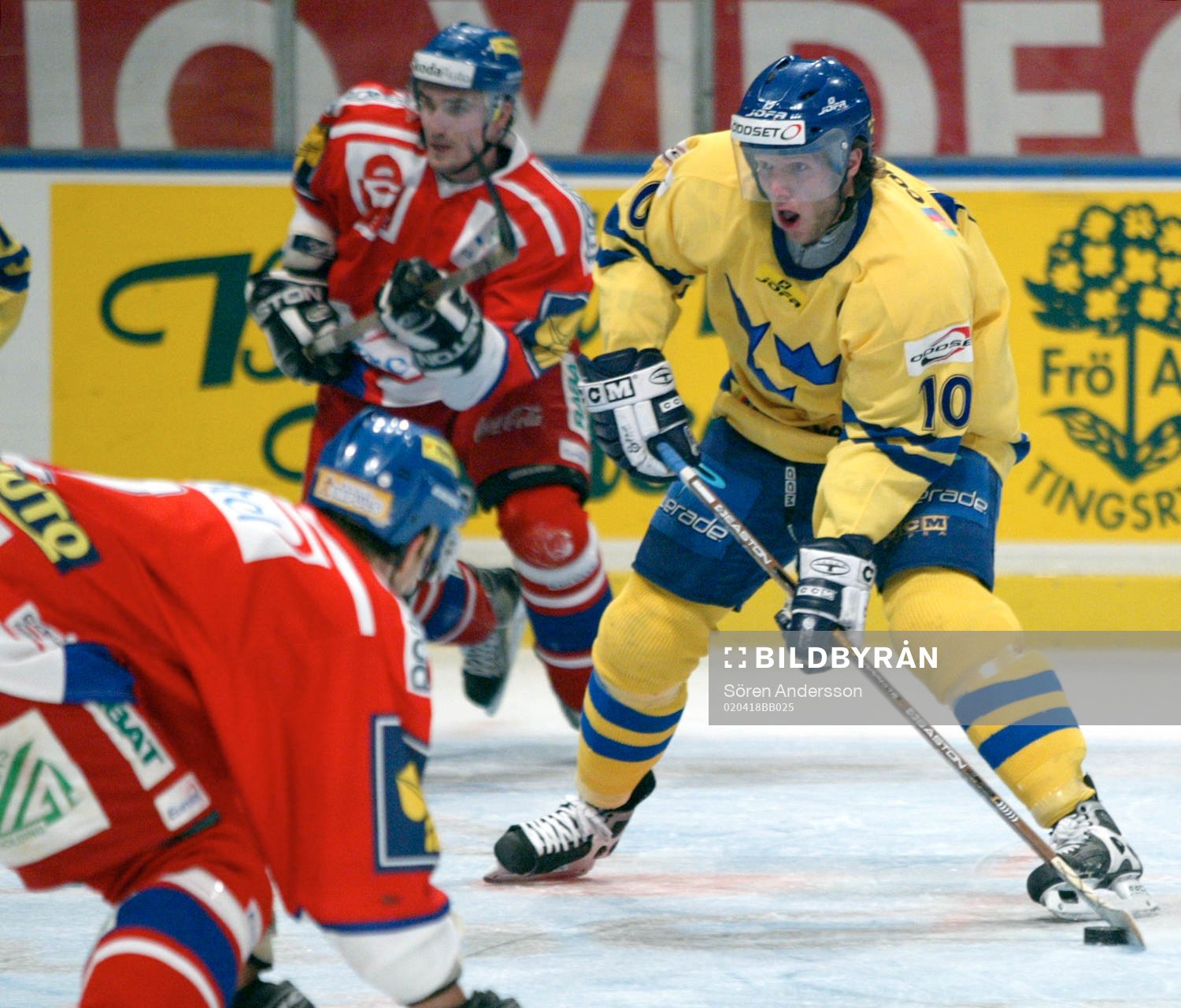 Nils Ekman, Sverige