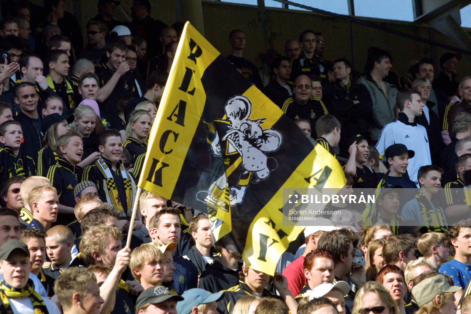 Supporter, AIK