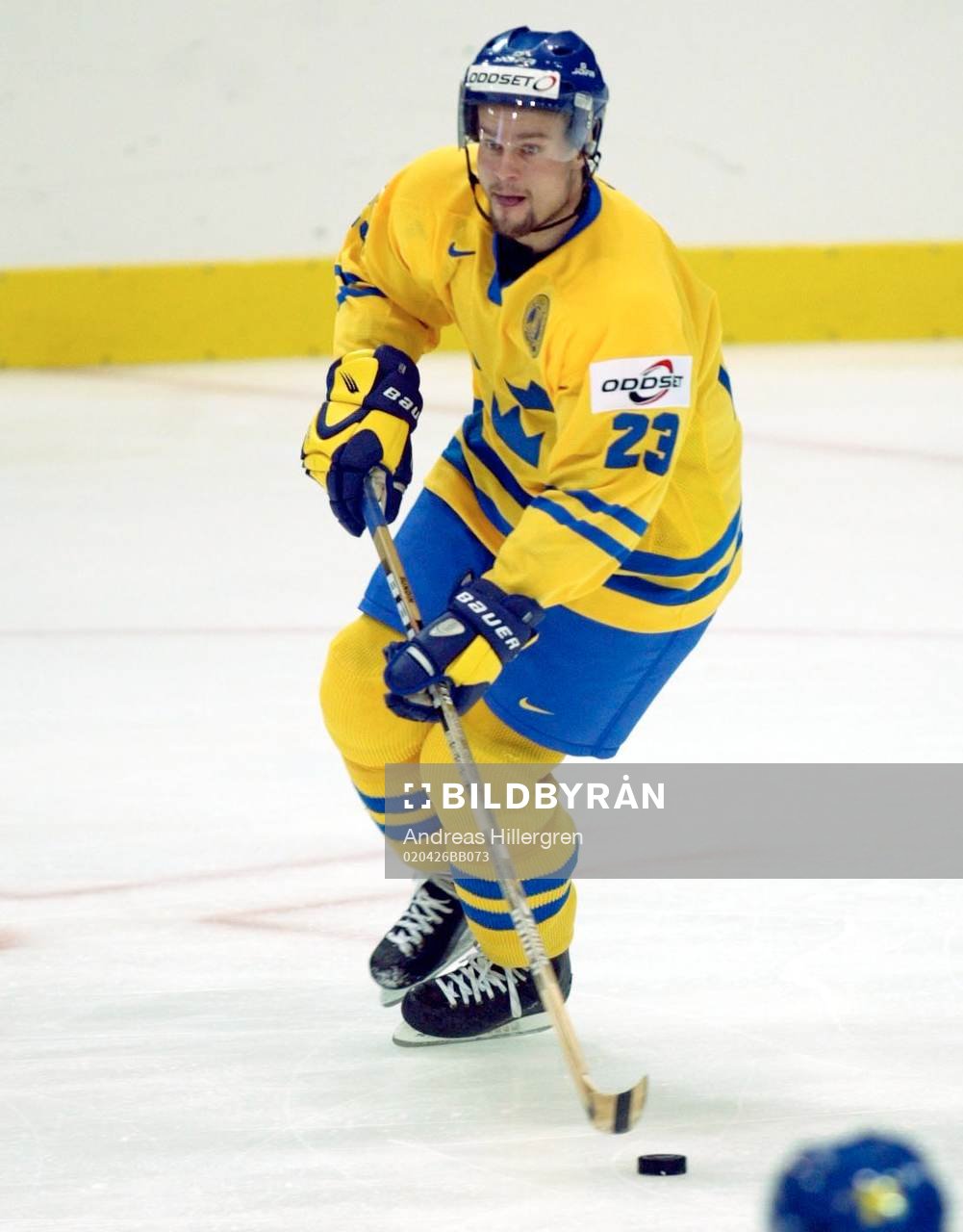 Ronnie Sundin, Sverige