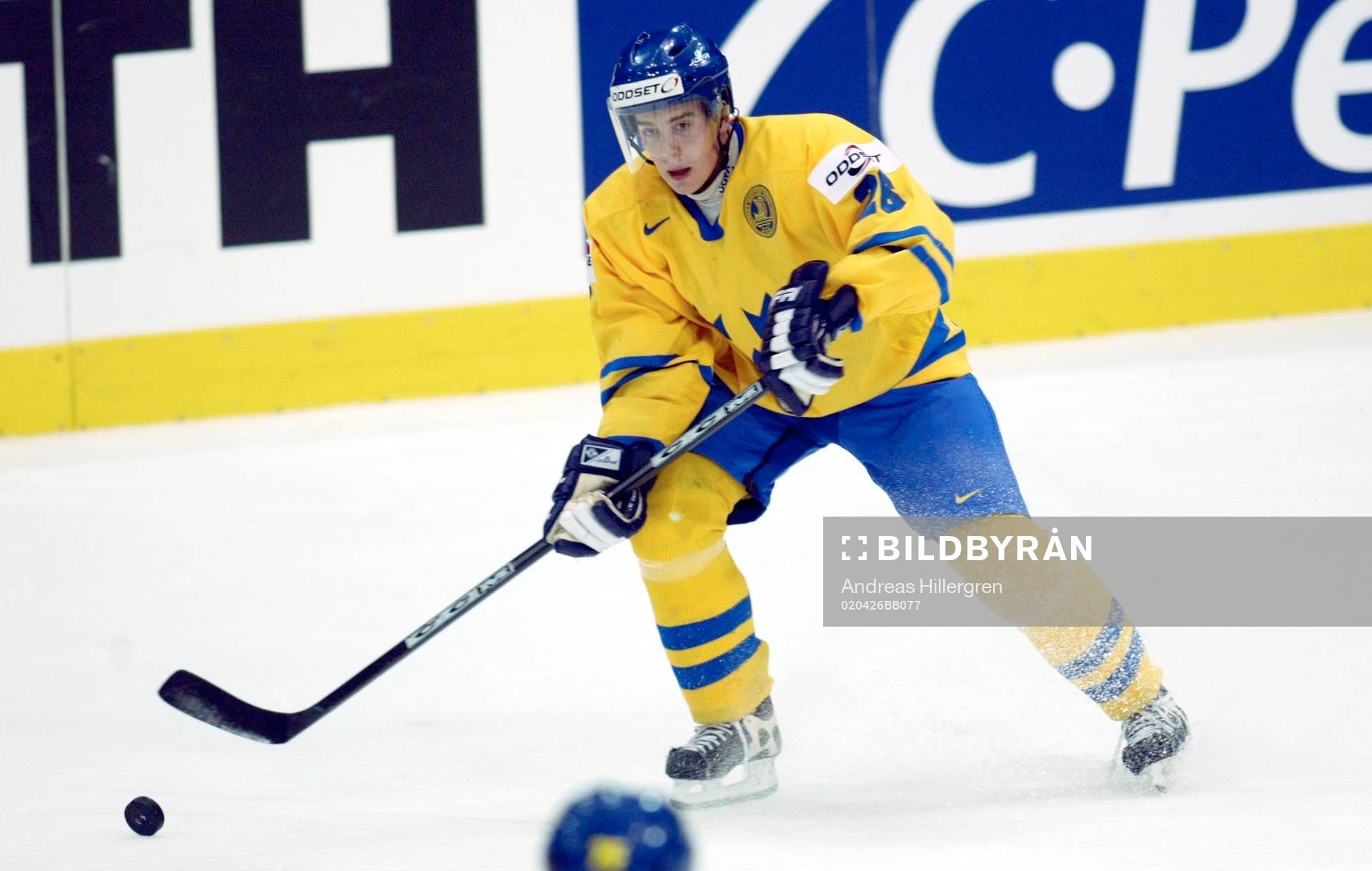 Mattias Weinhandl, Sverige