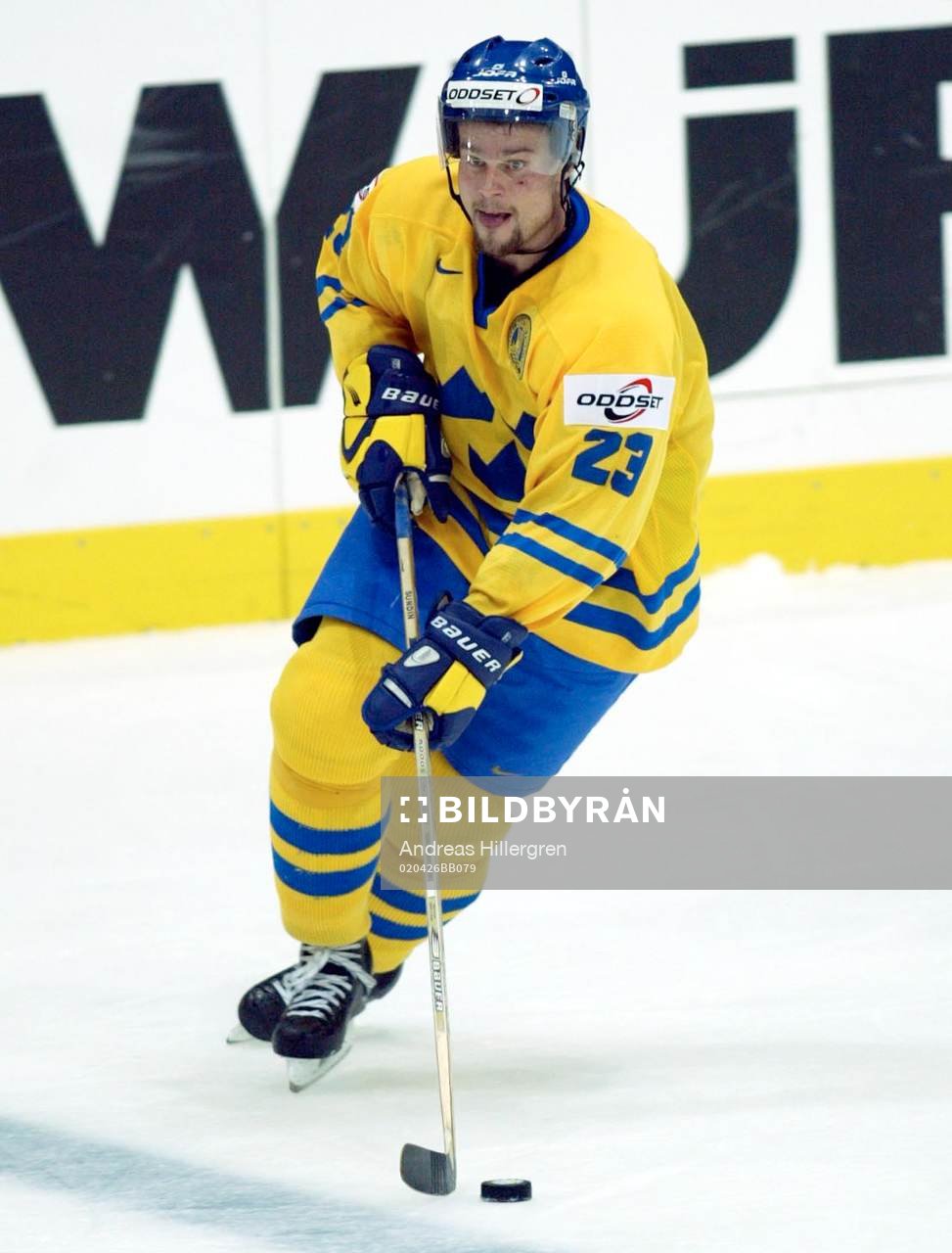 Ronnie Sundin, Sverige
