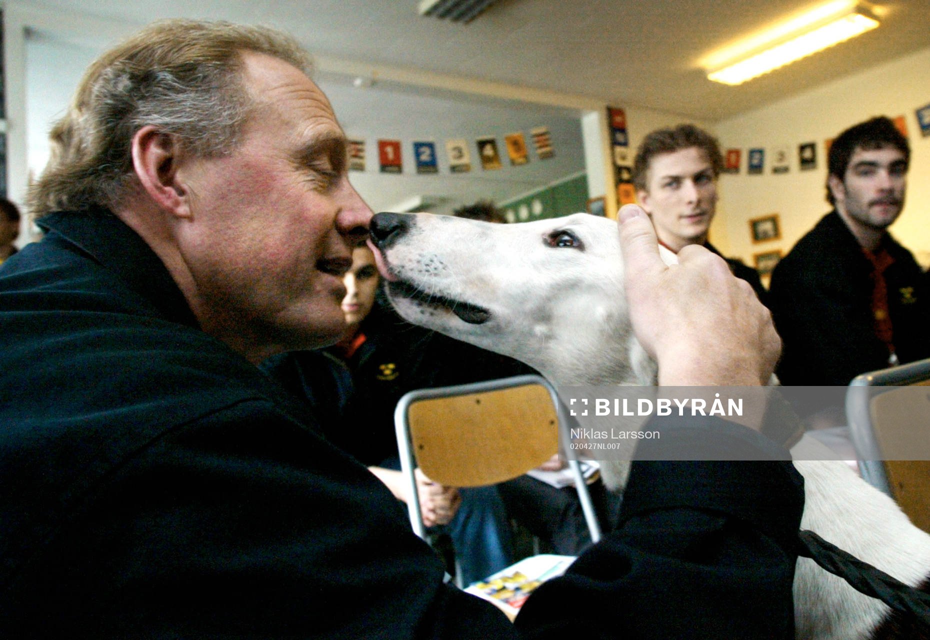 Greyhound Race i Borås. Tre Kronors General Mananger