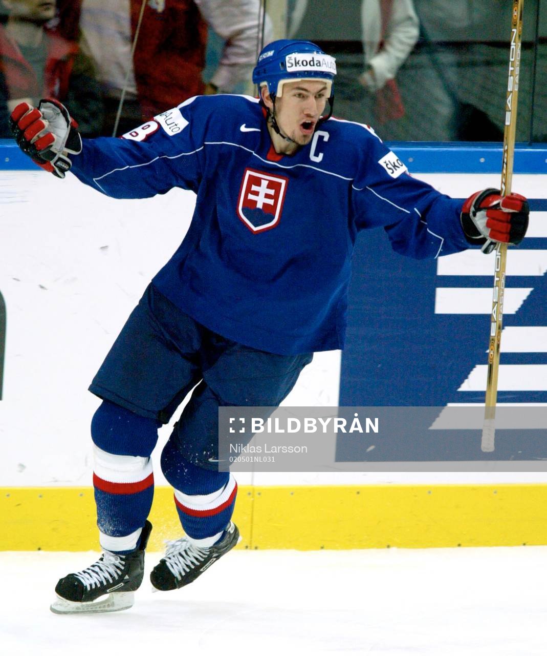 Miroslav Satan, Slovakien jublar