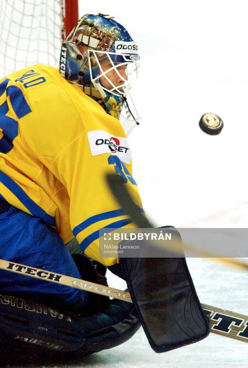 Tommy Salo, Sverige