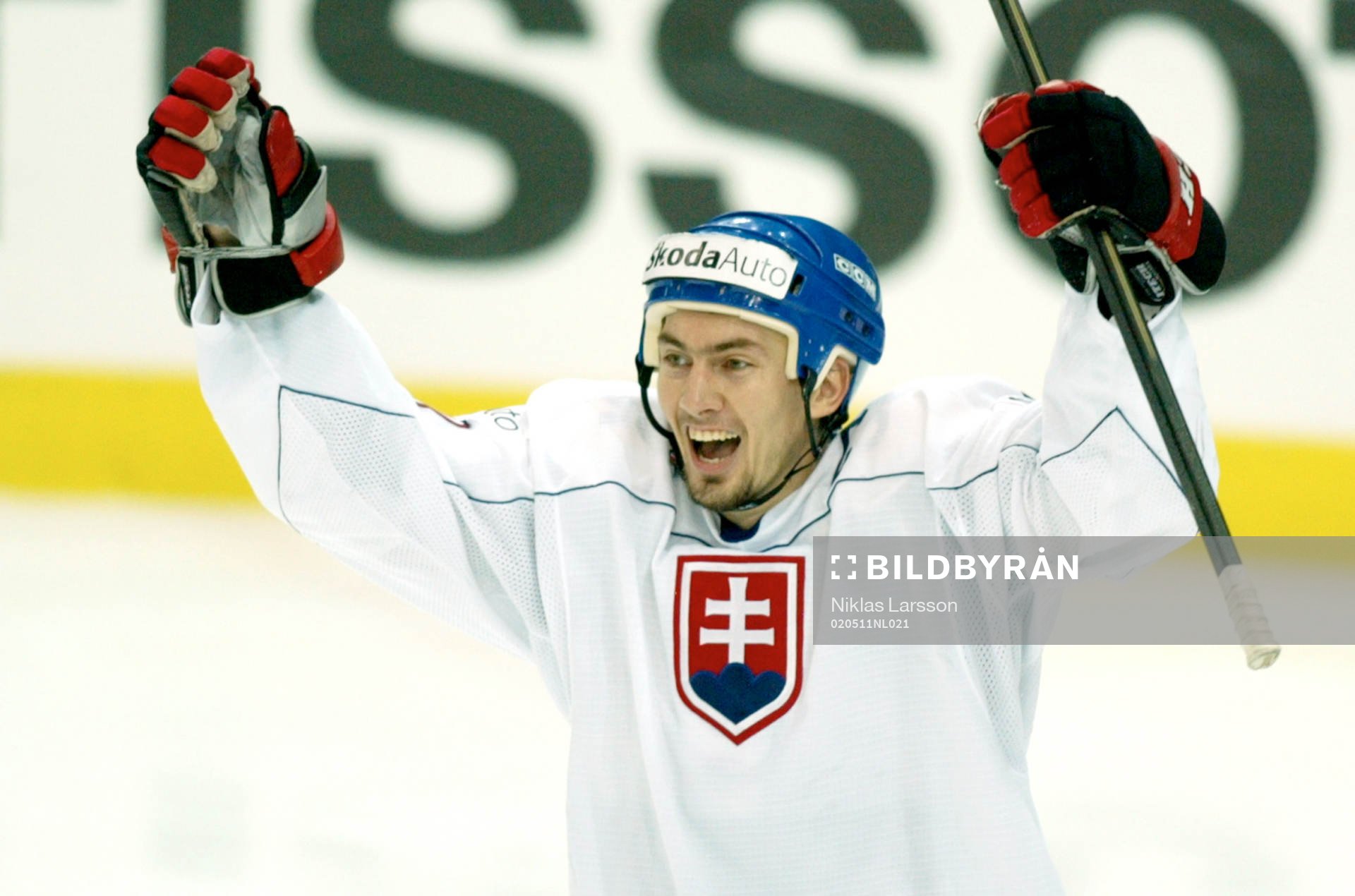 Miroslav Satan, Slovakien jublar (jubel)