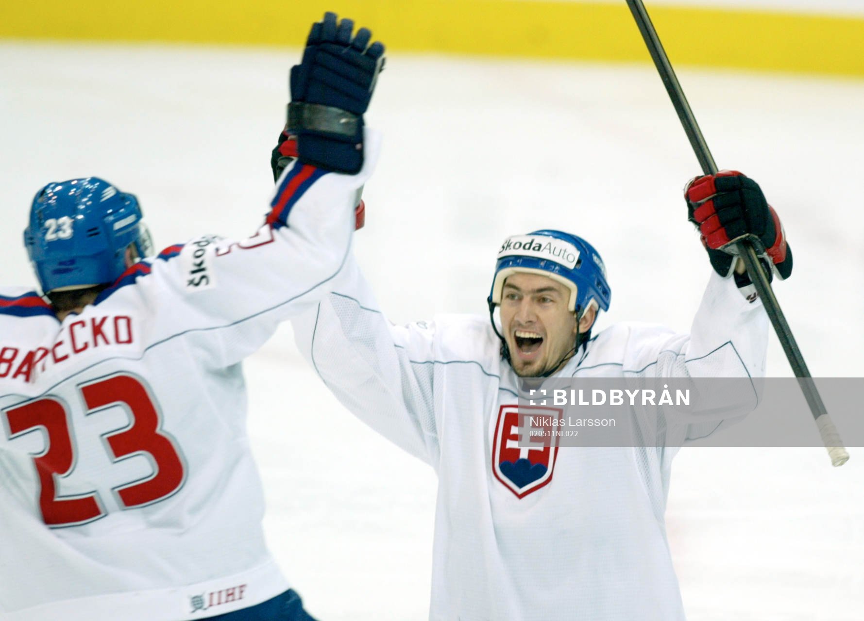 Miroslav Satan, Slovakien jublar
