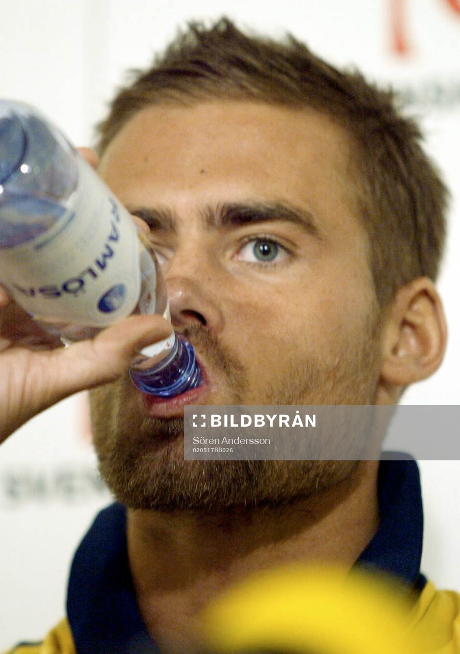 Olof Mellberg, Sverige