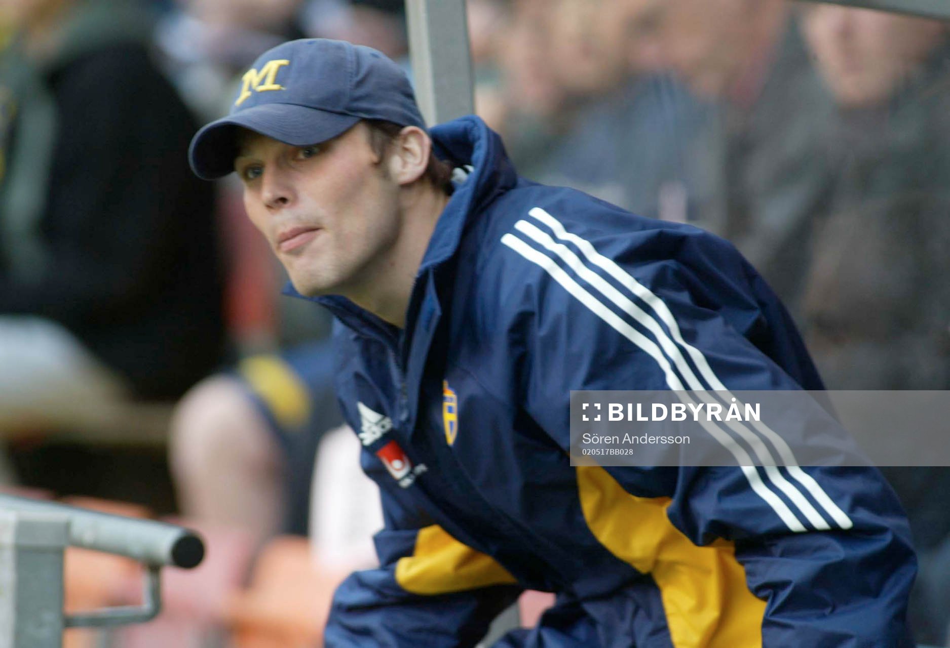 Fredrik Ljungberg, Sverige