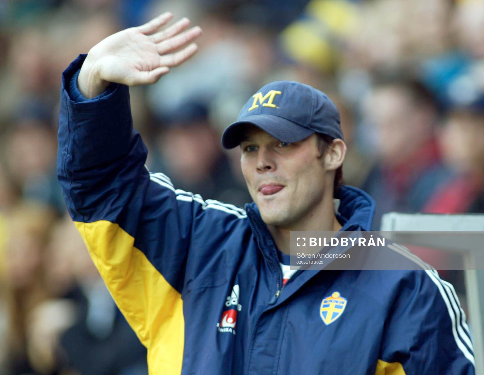 Fredrik Ljungberg, Sverige