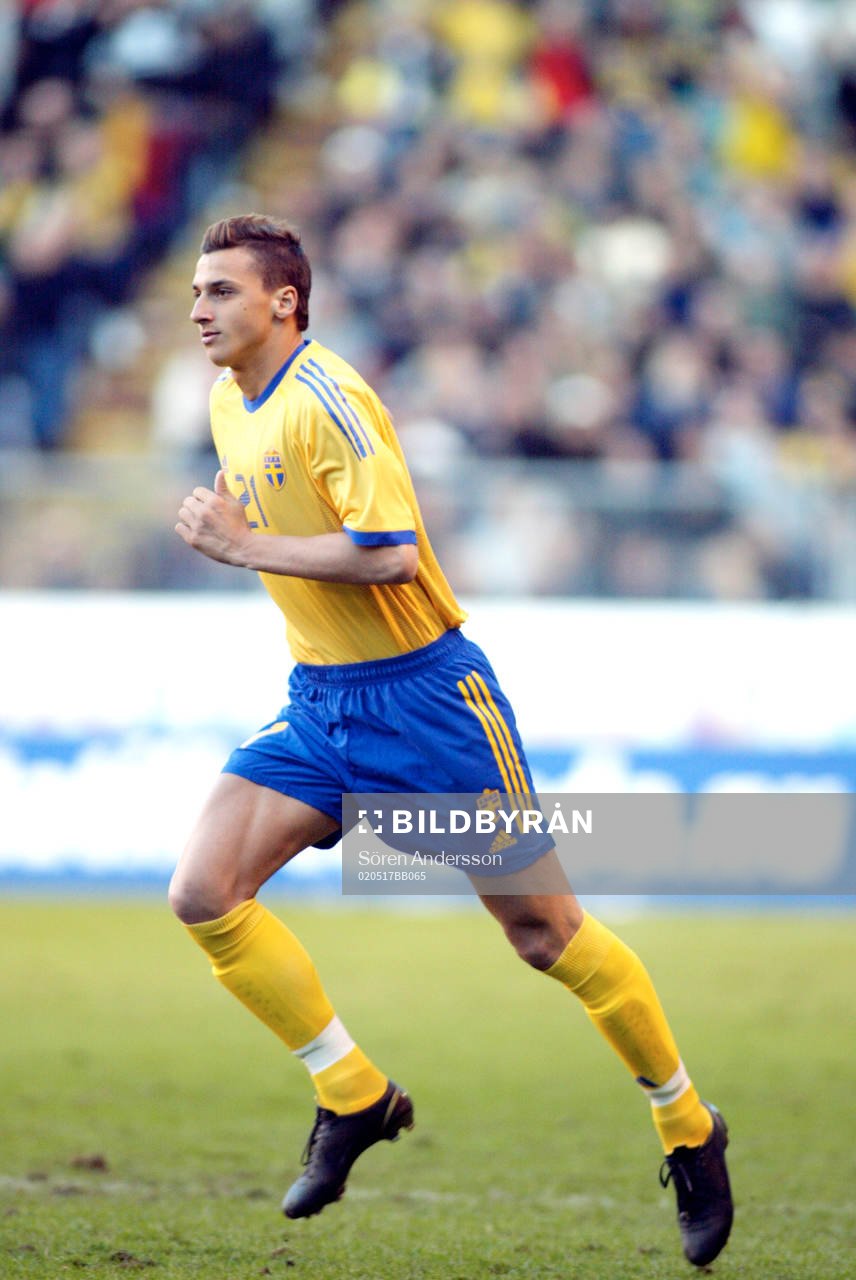 Zlatan Ibrahimovic, Sverige