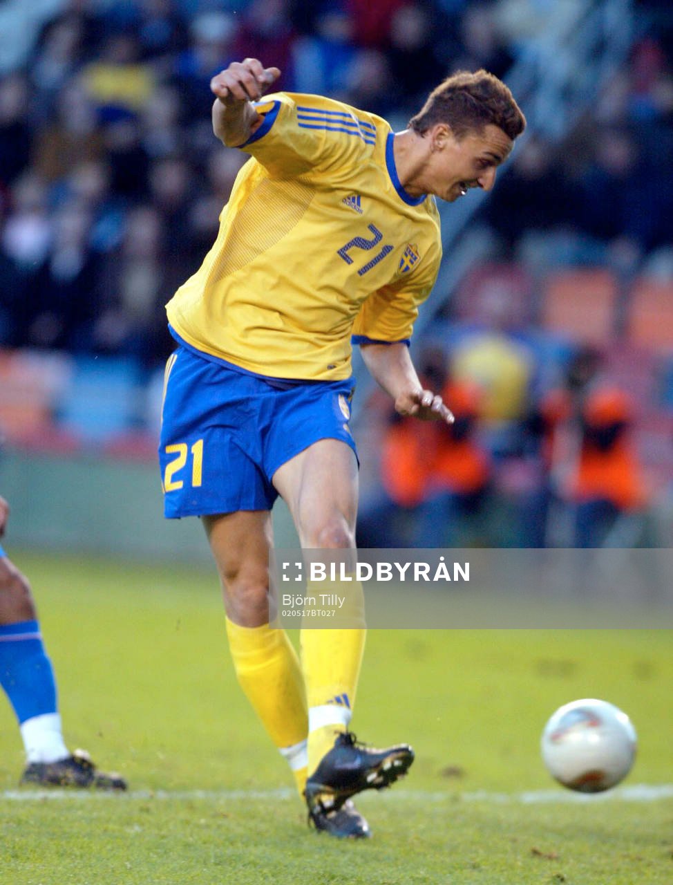 Zlatan Ibrahimovic, Sverige