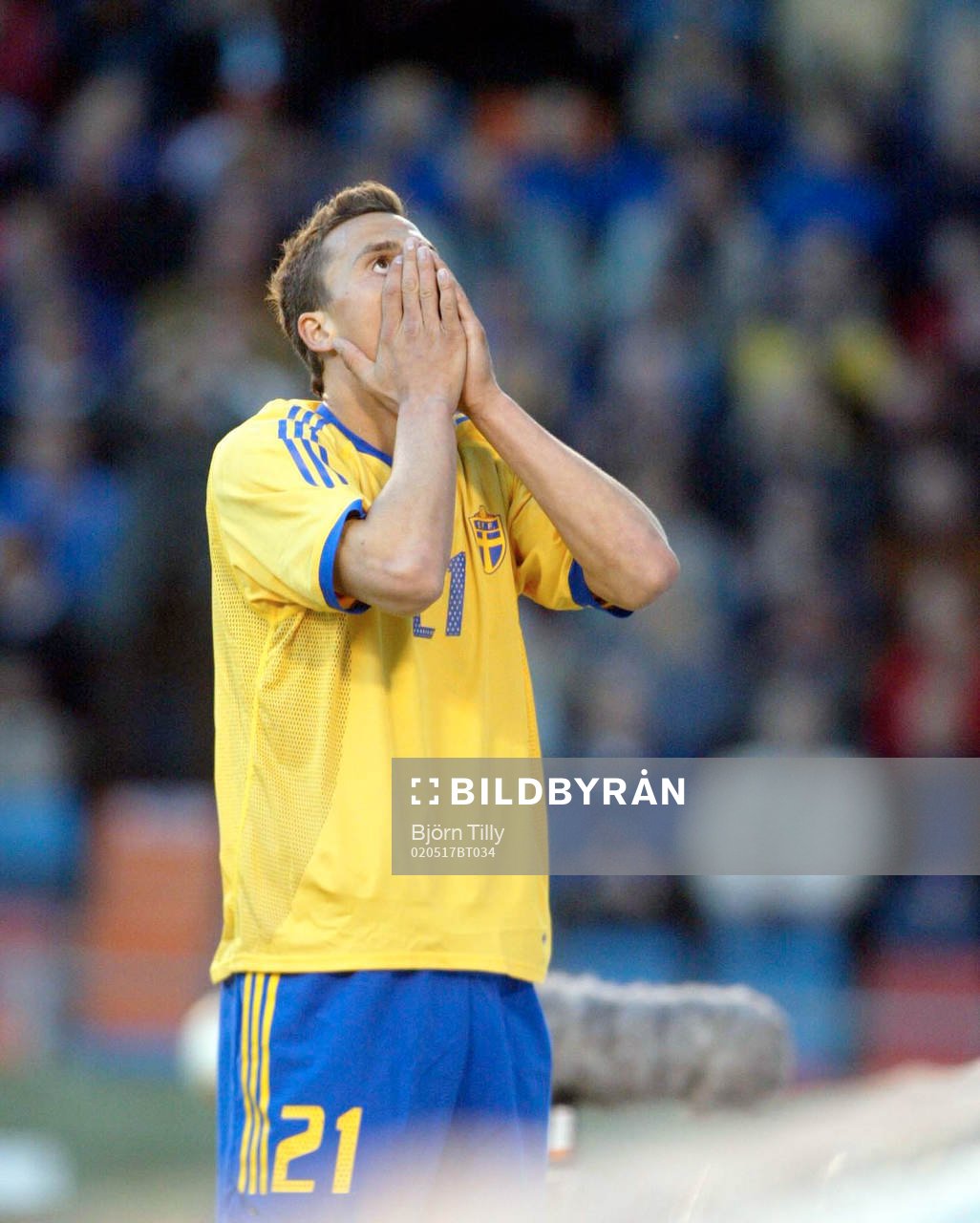 Zlatan Ibrahimovic, Sverige