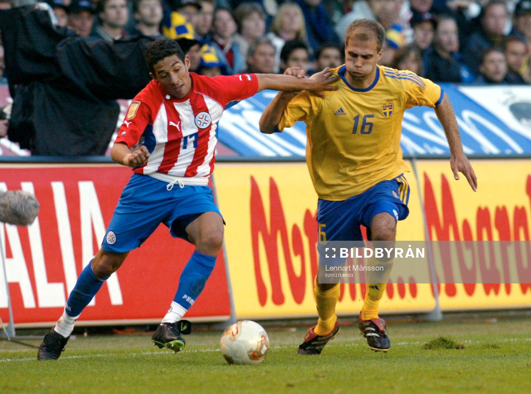 Teddy Lucic, Sverige